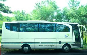 bus bali 20seats