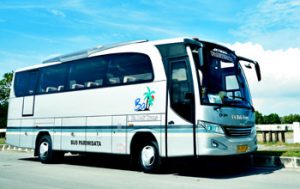 bus-bali-28seats