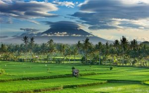 Tour ke Ubud dengan sewa mobil di Bali